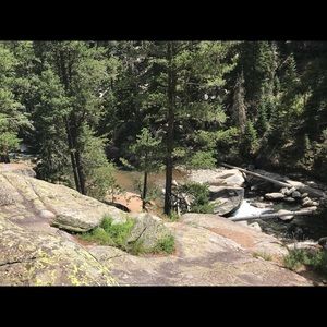 Meet your Posher, Sylvia